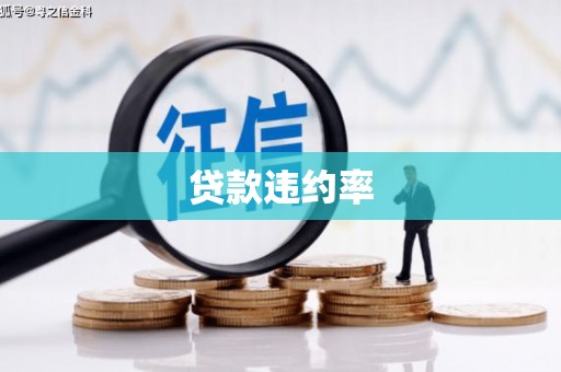 丽水贷款违约率