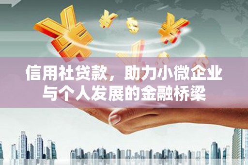 丽水信用社贷款，助力小微企业与个人发展的金融桥梁