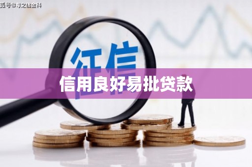 丽水信用良好易批贷款