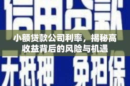丽水小额贷款公司利率，揭秘高收益背后的风险与机遇