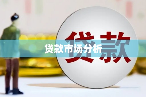 丽水贷款市场分析