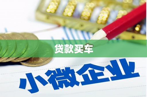 丽水贷款买车