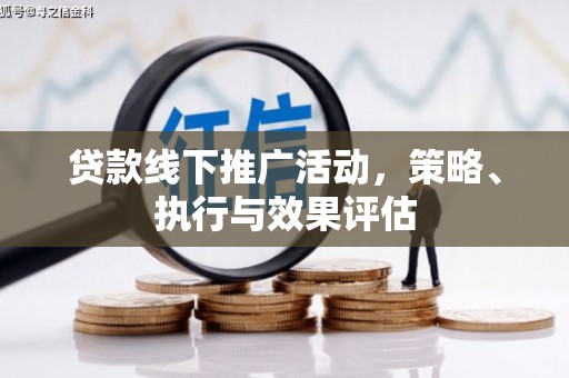 丽水贷款线下推广活动，策略、执行与效果评估