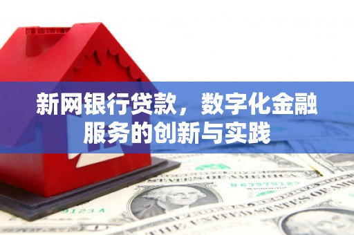 丽水新网银行贷款，数字化金融服务的创新与实践