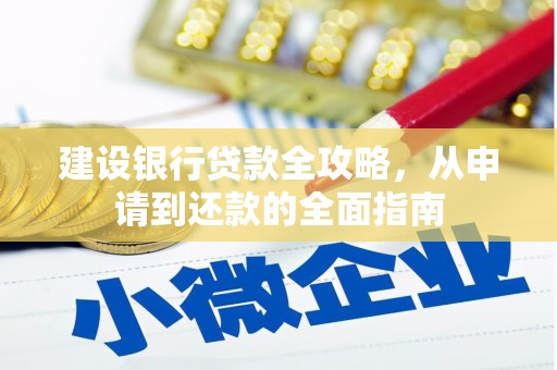 丽水建设银行贷款全攻略，从申请到还款的全面指南
