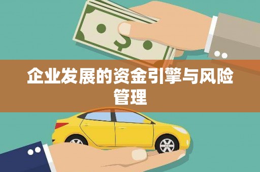 丽水企业发展的资金引擎与风险管理