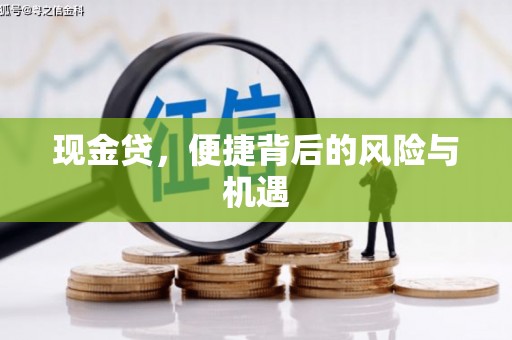 丽水现金贷，便捷背后的风险与机遇