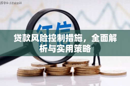 丽水贷款风险控制措施，全面解析与实用策略