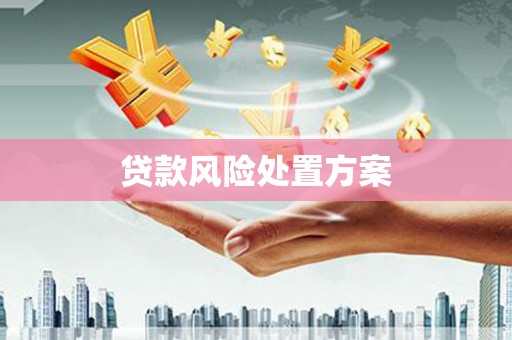 丽水贷款风险处置方案