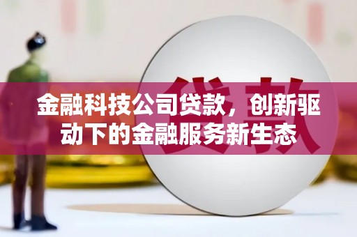 丽水金融科技公司贷款，创新驱动下的金融服务新生态