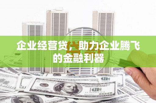 丽水企业经营贷，助力企业腾飞的金融利器