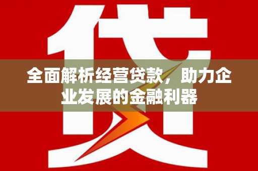丽水全面解析经营贷款，助力企业发展的金融利器