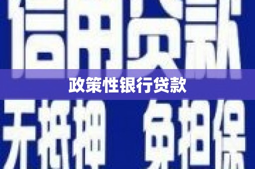 丽水政策性银行贷款