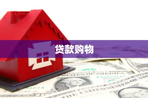 丽水贷款购物