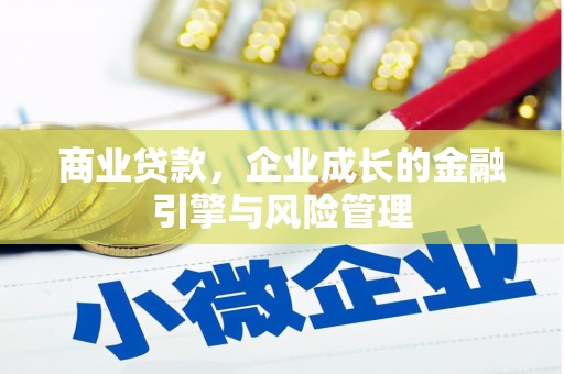 丽水商业贷款，企业成长的金融引擎与风险管理