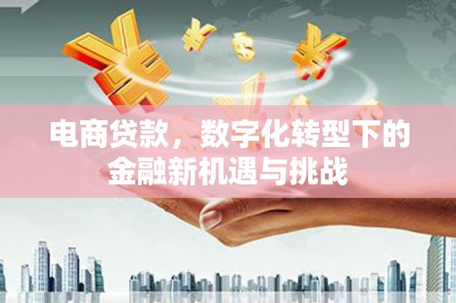 丽水电商贷款，数字化转型下的金融新机遇与挑战
