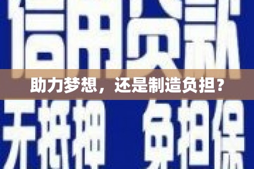 丽水助力梦想，还是制造负担？