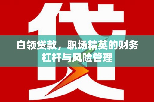 丽水白领贷款，职场精英的财务杠杆与风险管理