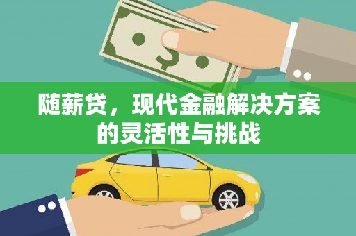 丽水随薪贷，现代金融解决方案的灵活性与挑战