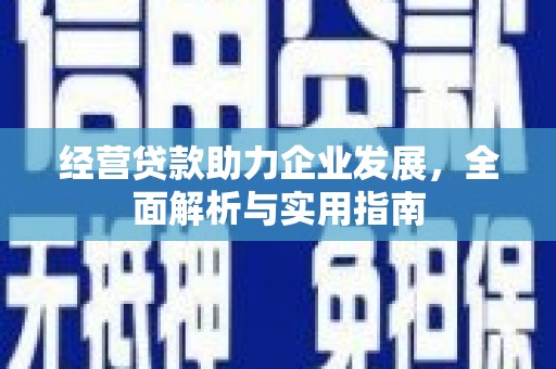 丽水经营贷款助力企业发展，全面解析与实用指南