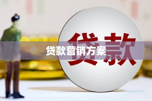 丽水贷款营销方案