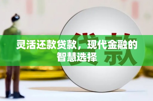 丽水灵活还款贷款，现代金融的智慧选择