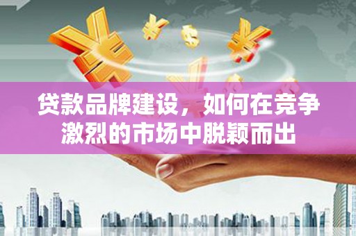丽水贷款品牌建设，如何在竞争激烈的市场中脱颖而出
