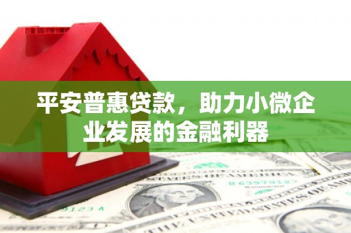丽水平安普惠贷款，助力小微企业发展的金融利器
