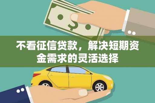 丽水不看征信贷款，解决短期资金需求的灵活选择