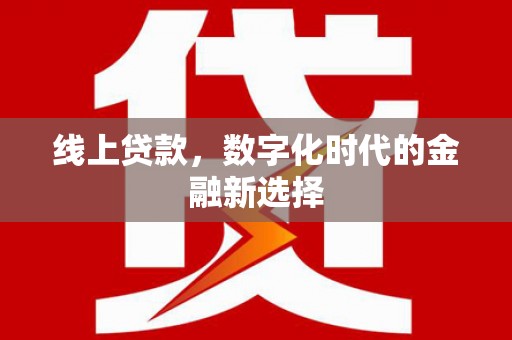 丽水线上贷款，数字化时代的金融新选择