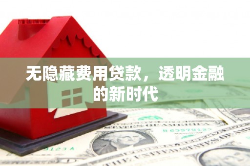丽水无隐藏费用贷款，透明金融的新时代