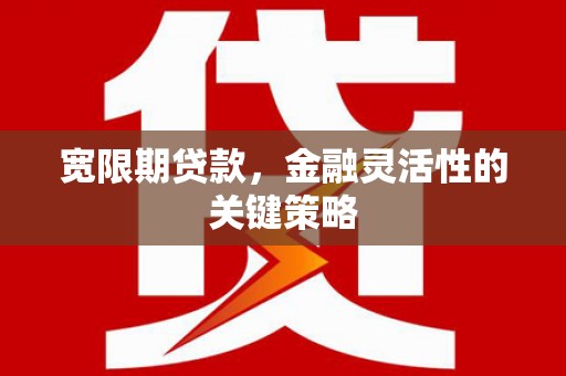 丽水宽限期贷款，金融灵活性的关键策略