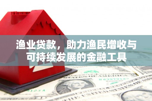 丽水渔业贷款，助力渔民增收与可持续发展的金融工具