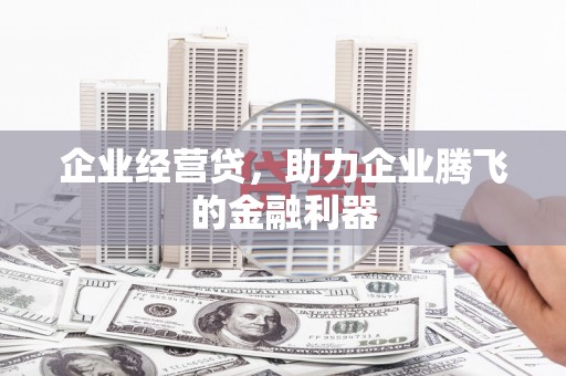 丽水企业经营贷，助力企业腾飞的金融利器