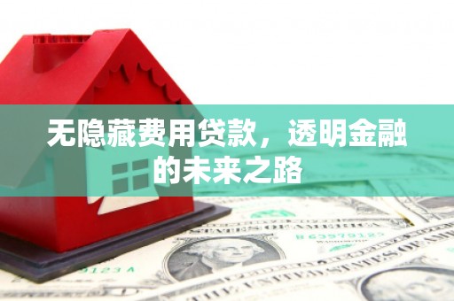 丽水无隐藏费用贷款，透明金融的未来之路