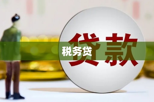 丽水税务贷