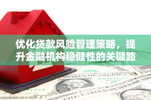 丽水优化贷款风险管理策略，提升金融机构稳健性的关键路径