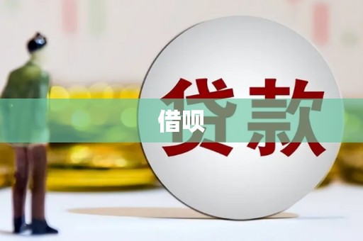 丽水借呗