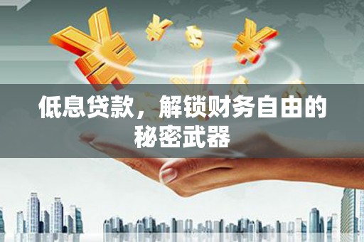 丽水低息贷款，解锁财务自由的秘密武器