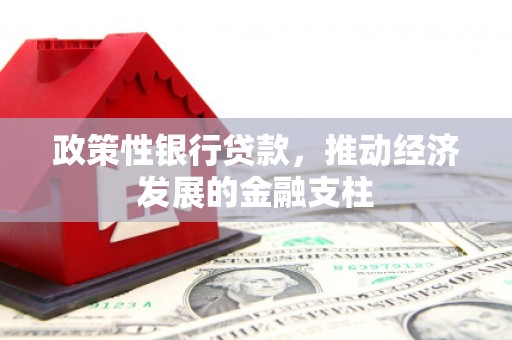 丽水政策性银行贷款，推动经济发展的金融支柱