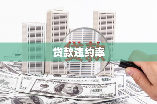 丽水贷款违约率