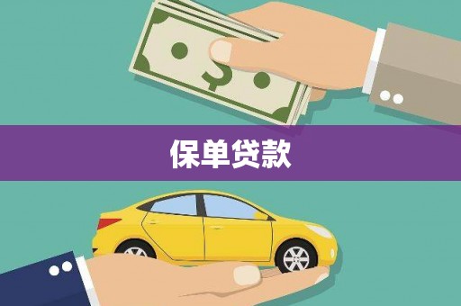 丽水保单贷款