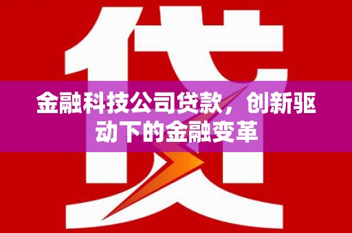 丽水金融科技公司贷款，创新驱动下的金融变革