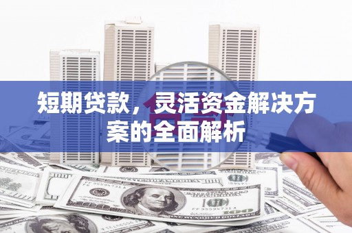 丽水短期贷款，灵活资金解决方案的全面解析