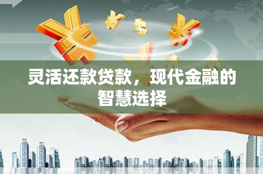 丽水灵活还款贷款，现代金融的智慧选择