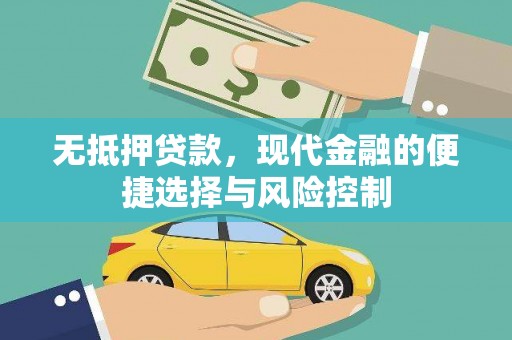 丽水无抵押贷款，现代金融的便捷选择与风险控制