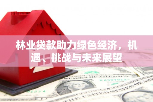 丽水林业贷款助力绿色经济，机遇、挑战与未来展望