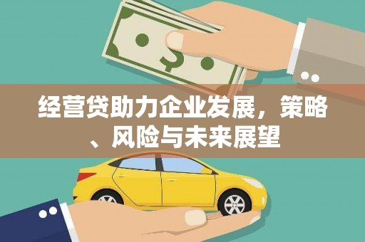 丽水经营贷助力企业发展，策略、风险与未来展望