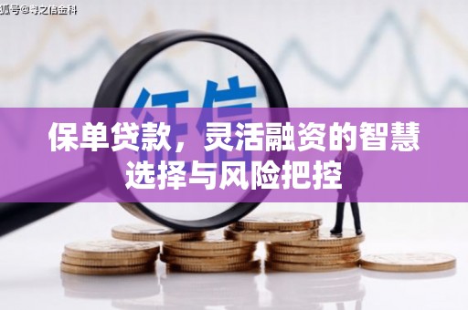 丽水保单贷款，灵活融资的智慧选择与风险把控