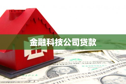 丽水金融科技公司贷款